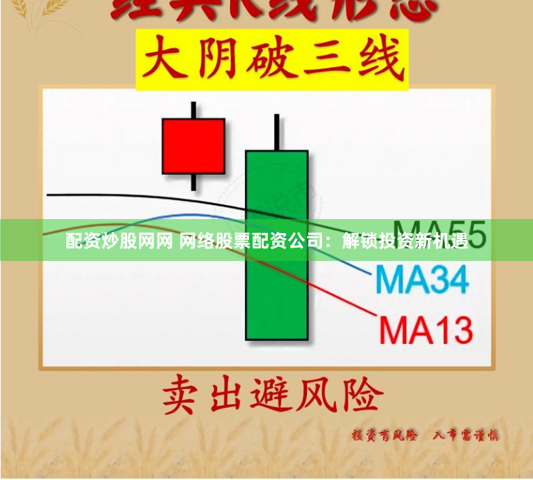 配资炒股网网 网络股票配资公司：解锁投资新机遇