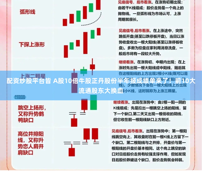 配资炒股平台皆 A股10倍牛股正丹股份半年报成绩单来了！前10大流通股东大换血