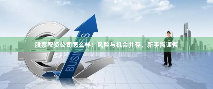 股票配资公司怎么样:风险与机会并存,新手需谨慎