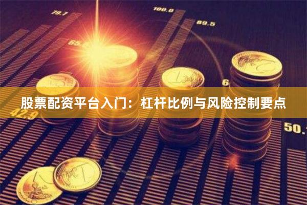 股票配资平台入门：杠杆比例与风险控制要点